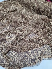 Image 4 of GATITA 
