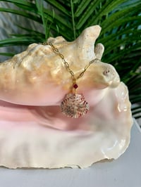 Image 2 of Scallop Shell Necklace N200