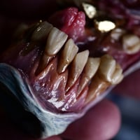 Image 19 of Parasite cyclops - Glow in the Dark Bic Lighter Sleeve OOAK