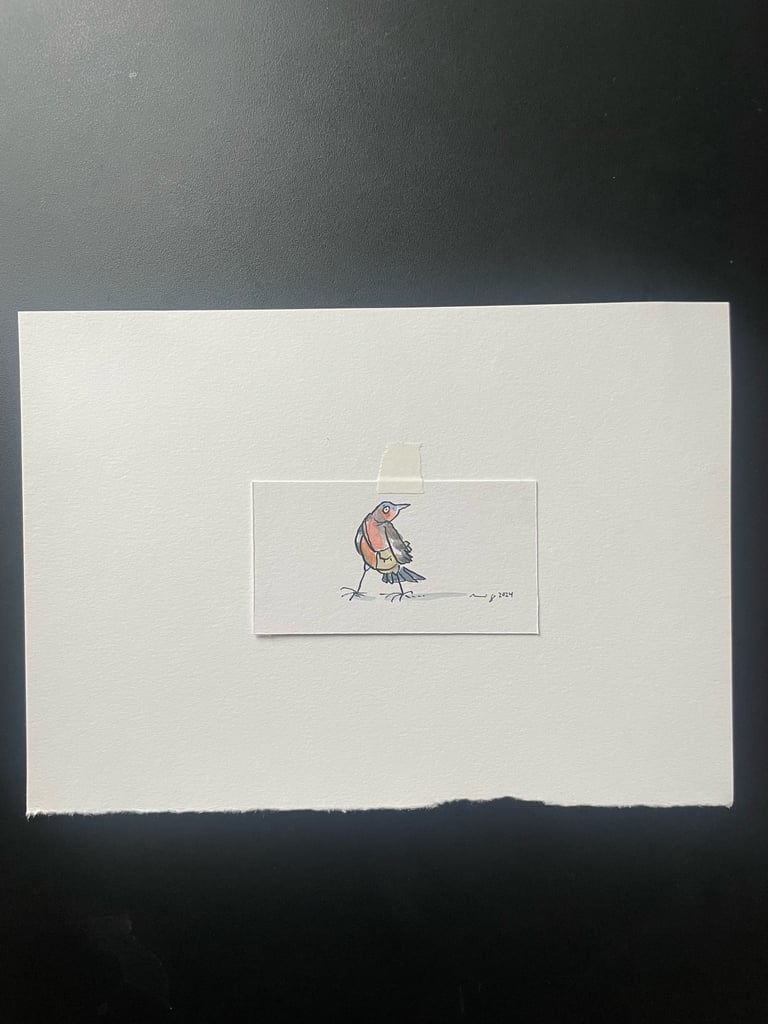 Originalzeichnung Tusche und Aquarell auf Papier  "Buchfink"