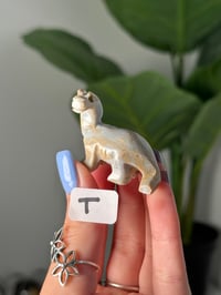 Image 20 of CHOOSE YOUR OWN MINI SOAPSTONE DINOSAURS