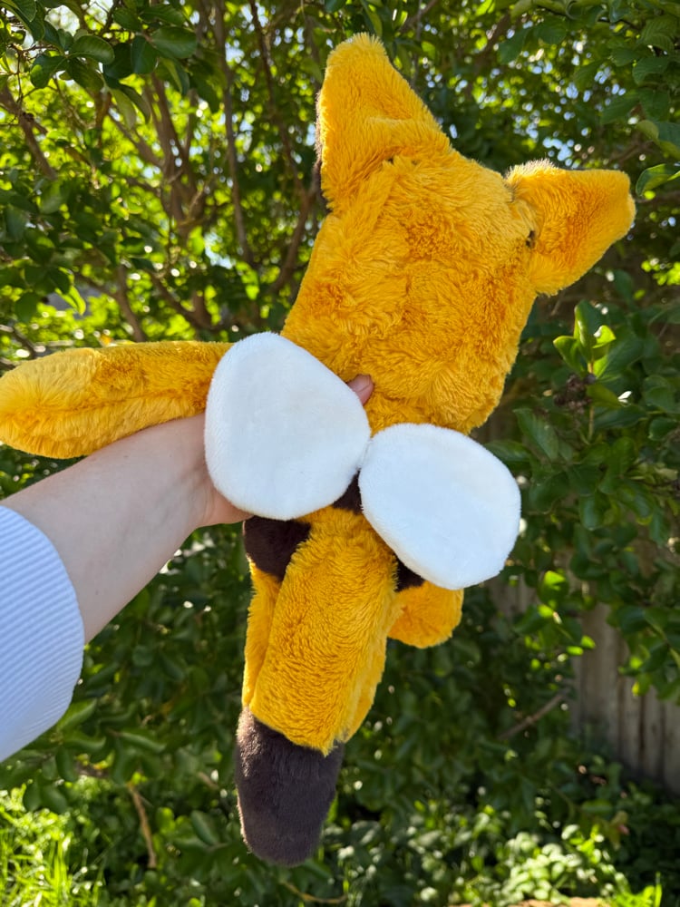 Image of Bee fox