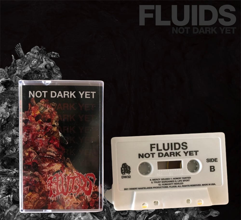 Image of Fluids- Not Dark Yet