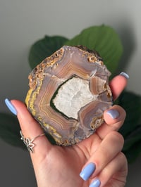 Image 2 of DOUBLE SIDED LAGUNA AGATE SLICE WITH QUARTZY CENTER J