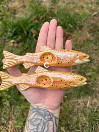 Image 10 of Trout -SECONDS