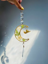 Image 1 of 🌛🐌LunaSnail Suncatcher🐌🌜