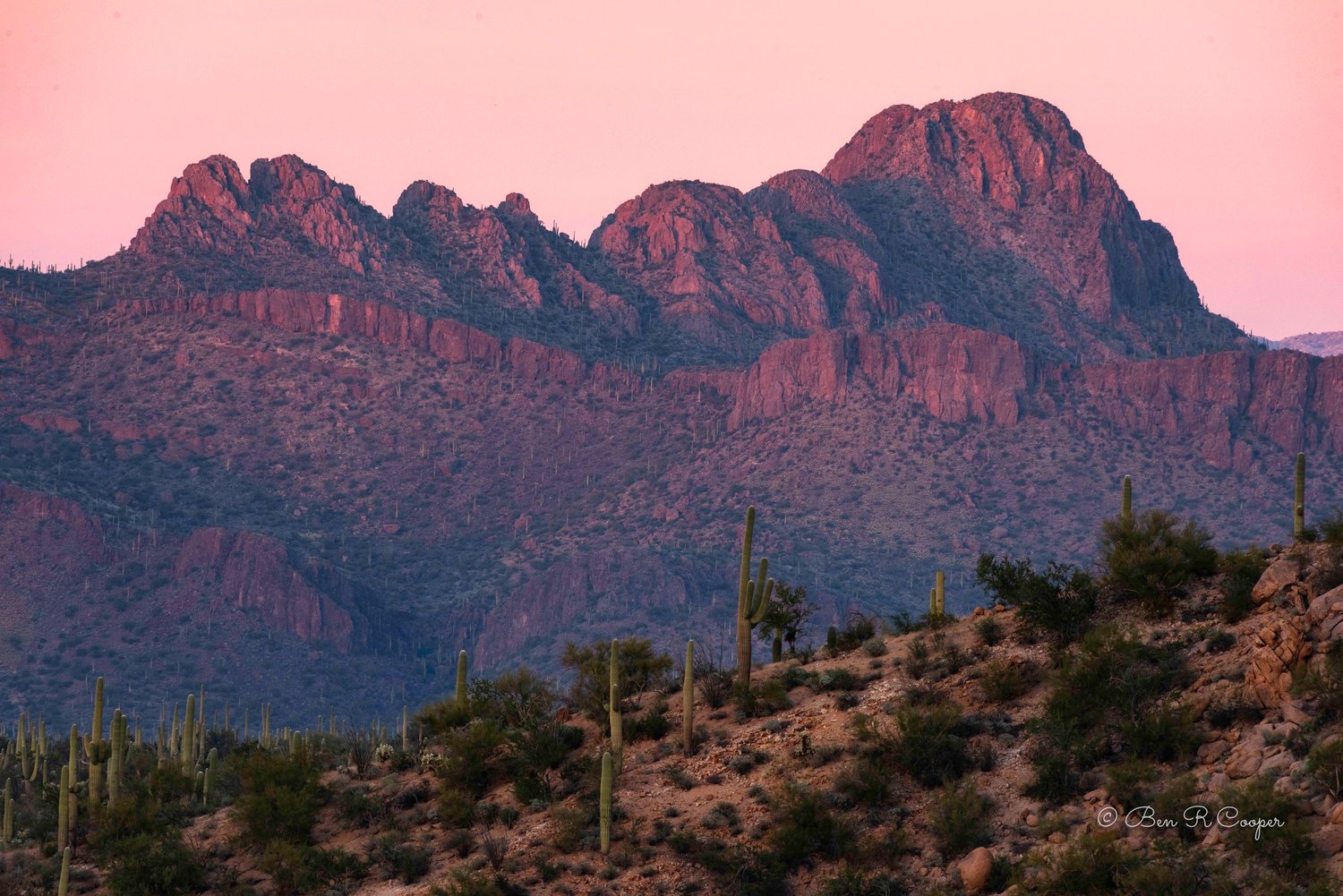 Saguaro Sunset Skies