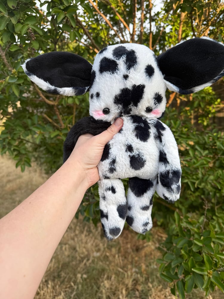 Image of spotty baby