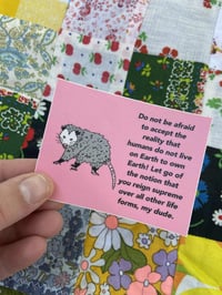 Image 2 of animist possum sticker 