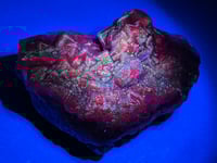 Image 16 of Large Black Rose Fluorite Red UV Specimen | Pakistan #2847