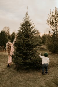 Image 1 of Tree Farm Minis 2025