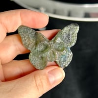 Image 2 of Labradorite Death Moth ($10)