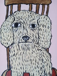 Image 7 of Crusty Dog