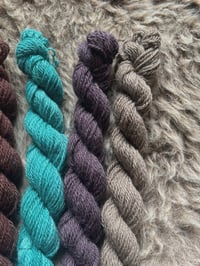 Image 3 of Mini Bundle #7 - 100G Hand Dyed Kent Romney Mini Skeins