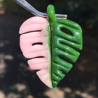 Image 4 of SALE Pink Half-Moon Monstera Leaf (slightly imperfect) 