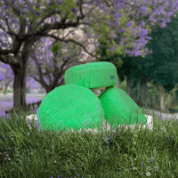 Image 1 of New Scent Garden Party Extreme Growth Shampoo Bars