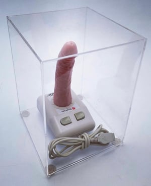 Image of SUNCUM JOYSTICK