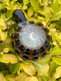 Image 6 of DarkSide Luna