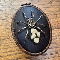 Image 2 of Toothy spider (2x2.5 inches)