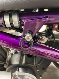 Image 3 of Triple Tree Tie Down Rings