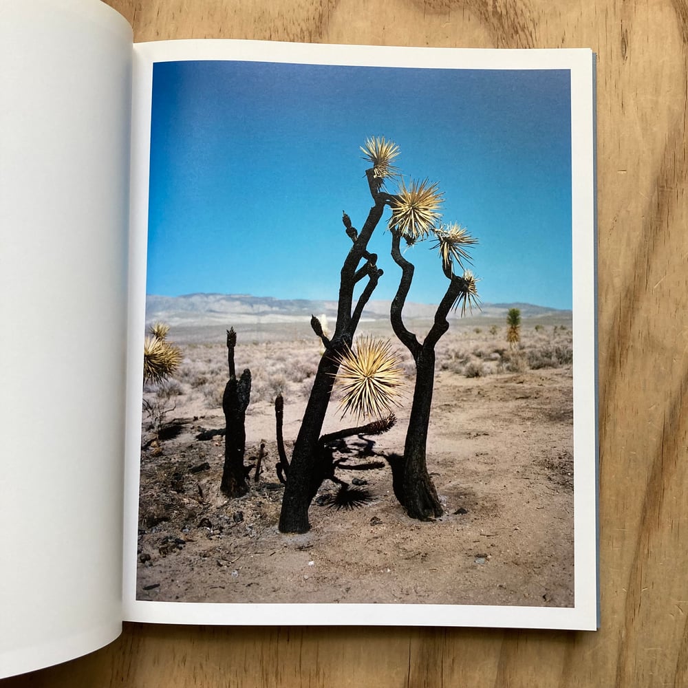 Gregory Halpern - ZZYZX (Signed)