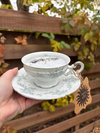 Image 3 of Blackberry Sage Candles