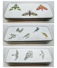 Image 3 of UK Birding Tins - Small - Various Designs Available