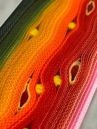 Image 6 of Thin Brook Trout by Mikie
