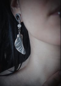 Image 3 of Real maple seed earrings