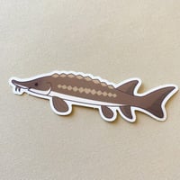 Image 1 of Sturgeon Sticker