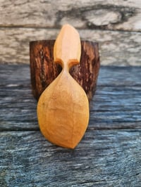 Image 2 of Cupaniopsis pocket spoon 