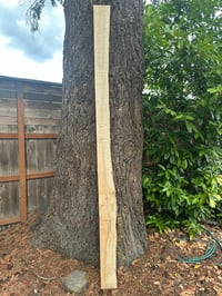 Image 2 of Figured maple board 9