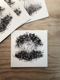 Image 1 of Birch Tree Greetings Cards