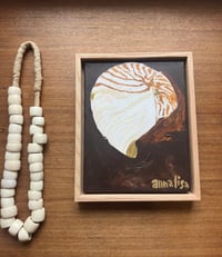 Image 2 of Island Shell Original