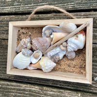 Image 4 of Beach Box #6