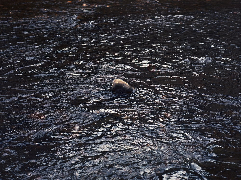 Image of Rock in the stream