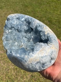 Image 6 of Celestite Cluster #1059