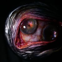 Image 5 of The incredible Double Iris Spice Grinder OAAK