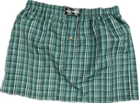 Image 1 of GREEN BOXER SKIRT