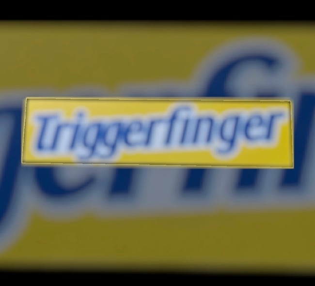 456. TRIGGERFINGER STICKER