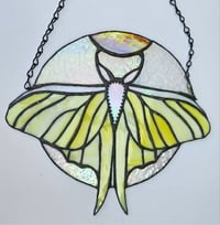 Image 3 of Day moth