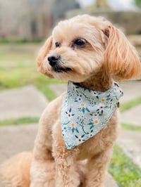 Image 1 of Blue floral Dog Bandana