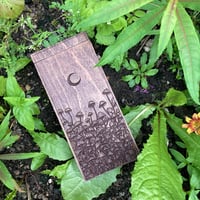 Image 1 of Mycorrhiza - Handmade Wooden Pencil Case