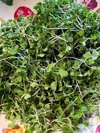 Image 4 of Blend of Organic Microgreens