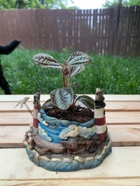 Image 3 of Ploynesian Ivy in Lighthouse Holder