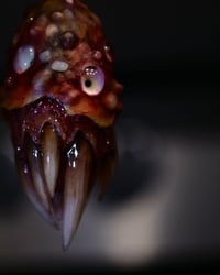 Image 2 of Little Monster Toothy pendant, OOAK,