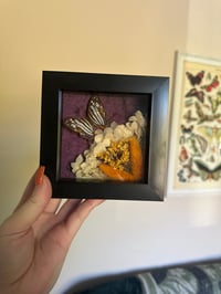 Image 4 of Common Mapwing Frame