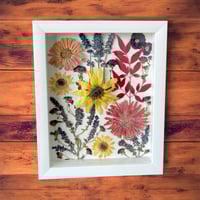 Image 3 of Zinnia, Sunflower, Lavender, Veronica & Nandina Wildflower Art in 8”x10” Shadow Box (202302LS)
