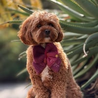 Image 2 of CUSTOM EMBROIDERED BOW - MERLOT