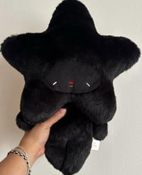 Black Factory Star Baby leftover stock